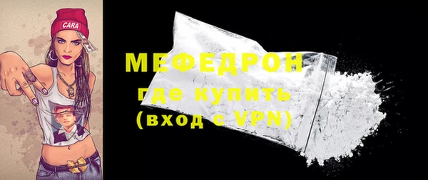 индика Богородицк