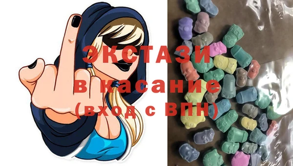 индика Богородицк