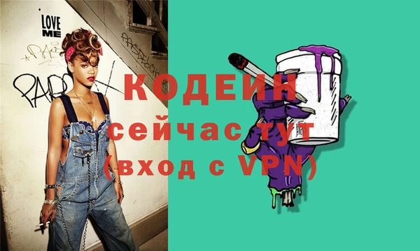 индика Богородицк