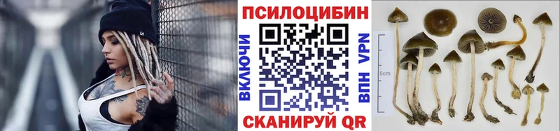 Галлюциногенные грибы GOLDEN TEACHER Бодайбо