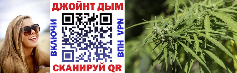 где можно купить наркотик  Бодайбо  omg маркетплейс  МАРИХУАНА Amnesia 